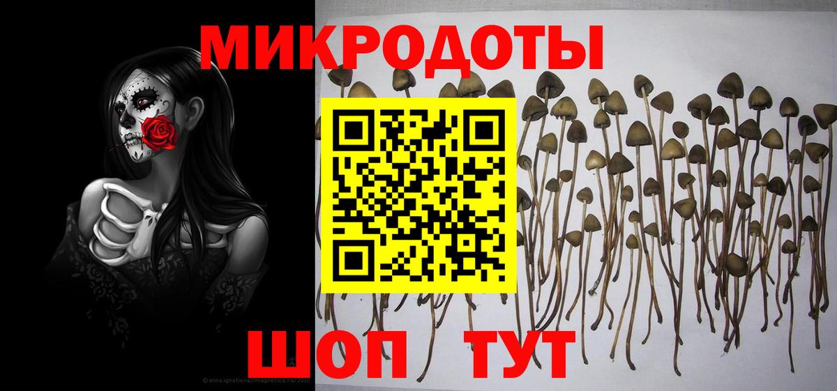 Псилоцибиновые грибы Magic Shrooms  Псилоцибиновые грибы Cubensis  Белгород  Вход с VPN 